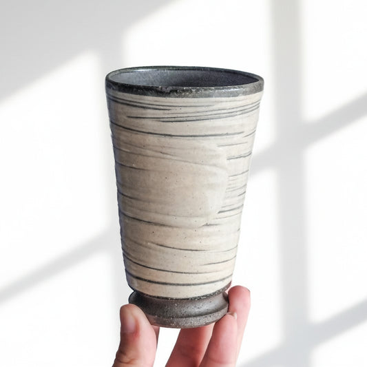 Brushed Shigaraki Ware Hechimon Tumber Cup
